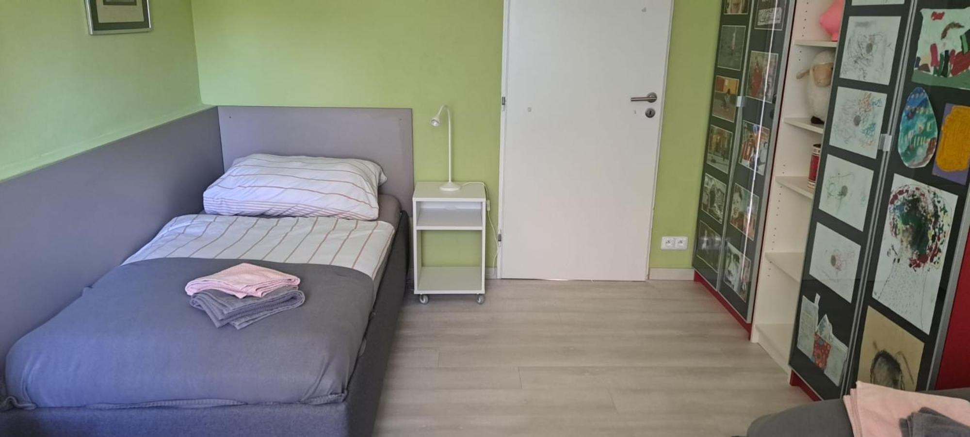 Depandance Jaklovecka Ostrava Buitenkant foto